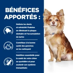 Hill's Prescription Diet T/D Pour Petit Chien -Éco Pattes 52742402109 4 prescription diet chien t d mini croquettes poulet