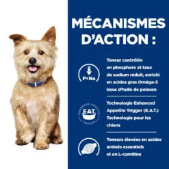 Hill's Prescription Diet K/D Boîtes Pour Chien Au Poulet - 12 X 370g -Éco Pattes 52742801001 2 FR