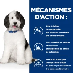 Hill's Prescription Diet C/D Urinary Multicare Croquettes Pour Chien Au Poulet -Éco Pattes 52742917603 5 prescription diet chien c d multicare croquettes poulet