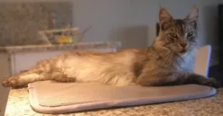 Matelas Anti-escarres Confort4pattes -Éco Pattes 55c0616d5d98821d9afbcbd9e5f3c4fc90951b16cae946ef0eda01a8206dbdbb