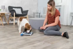 Trixie Jeu De Stratégie Pour Chien Mini Mover 25 X 20 Cm -Éco Pattes 651eb7867f8946af7cf41f9ac1bbd13776f1ac8a5b17493ef8bf0c54cd8d3201