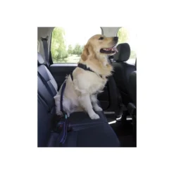 LAISSE SÉCURITÉ AUTO -Éco Pattes 696496 2