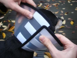 Flamingo Carcan Capo 38,5cm -Éco Pattes 6a49ce8ac076c3841c6f50f7e51b24655faca046434a3c86371644c1769f8e05