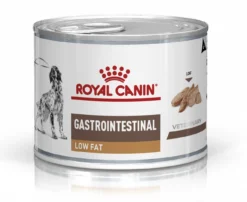 Royal Canin Gastro Intestinal Low Fat Chien -Éco Pattes 71a62bc0b244a0a5cb4975f3ca4307921465dd9c5d4b77c304b9e5cad2f1a2bb