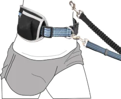 Flamingo Laisse Pour Le Jogging + Ceinture Ventrale Rono Bleu Laisse 180-250cm / Ceinture 79,5-140cm -Éco Pattes 73d3c513dcee7e4597c8312693f0ad1c821c6f51a7df08b1fc88babbd2d67f8e