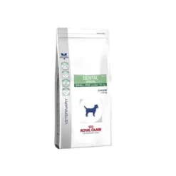 Royal Canin Chien Dental Small Dog -Éco Pattes 79201955a86f8044b9b603aedfab80b3dd273b1aa184c1d2c19a8bd0bc9def67