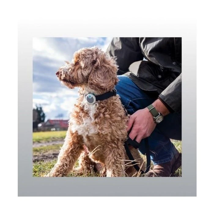 Animo Tracker D'activités 1 Animo Tracker D'activités