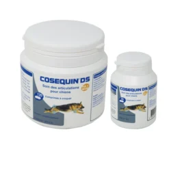 COSEQUIN DS (HA+MSM) -Éco Pattes 7b14c0a0820d5a39857b6b91052865a5c52b103d31d0abc63a392412abfab2f7