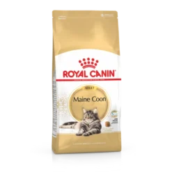 Royal Canin Maine Coon Adult Pour Chat 4kg