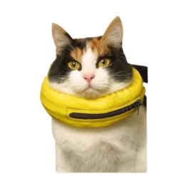 Collier Lune -Éco Pattes 86eaa3c4e19da65cd3ccf16b9b644242d1ea36ae29fd6c84734ea4df7c7f1d52 1