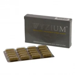 Wyzium 40 Comprimés