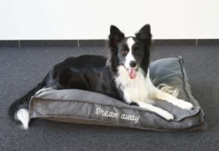 Flamingo Coussin Dream Away Rectangulaire+rebord+fermeture Eclair Gris 80x60x10cm -Éco Pattes 8b20af957cd0e9159fdaec088098026b839b1c665fc0ece7ca837051d3f8cebf scaled