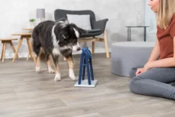 Trixie Jeu De Stratégie Pour ChienTurn Around 22 X 33 X 18 Cm -Éco Pattes 8bed342b96228300acb402ff3f8be6eb0cad0506d86789e4670cdbdef29ce45e