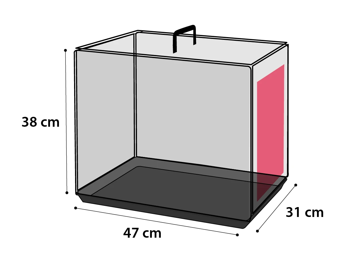 Flamingo Cage Pour Chien Ebo Taupe XS 31x47x38cm 3 Flamingo Cage Pour Chien Ebo Taupe XS 31x47x38cm – Image 3