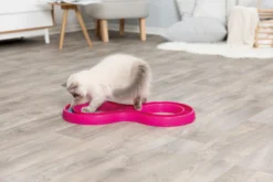 Trixie Jeu Pour Chat Flashing Ball Race 65 X 31 Cm -Éco Pattes 92edef64fa1673f9ad39d2ed5c93ab26b693b9000b77e9bf1adc99d68473fd0b