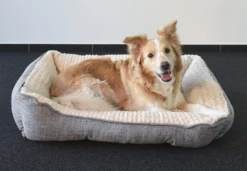 Flamingo Panier Pour Chien Zupo Rectangulaire Gris 90x65x25cm -Éco Pattes 99b8da2ca52e00418c6ee1afd6b8fb3f19b4e81818d430d62e4894bfcde106db scaled