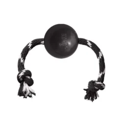 KONG EXTREME BALL Avec CORDE