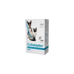 Cobalaplex 60 Gélules