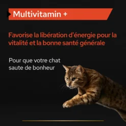 Purina PRO PLAN MULTIVITAMINS+ CHAT ALIMENT COMPLEMENTAIRE - 60G -Éco Pattes PRO PLAN MULTIVITAMINS CAT SUPPLEMENT 60G 5 FR