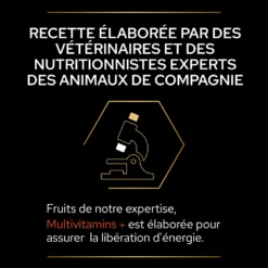 Purina PRO PLAN MULTIVITAMINS+ CHAT ALIMENT COMPLEMENTAIRE - 60G -Éco Pattes PRO PLAN MULTIVITAMINS CAT SUPPLEMENT 60G 8 FR