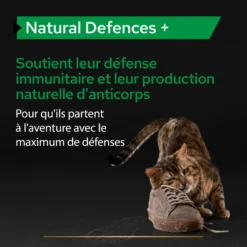Purina PRO PLAN NATURAL DEFENCES+ CHAT ALIMENT COMPLEMENTAIRE - 60G -Éco Pattes PRO PLAN NATURAL DEFENCES CAT SUPPLEMENT 60G 4 FR