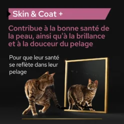 Purina PRO PLAN SKIN & COAT+ CHAT ALIMENT COMPLEMENTAIRE - 135G -Éco Pattes PRO PLAN SKIN COAT CAT SUPPLEMENT 135G 5 FR