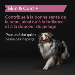 Purina PRO PLAN SKIN & COAT+ CHIEN ALIMENT COMPLEMENTAIRE - 225G -Éco Pattes PRO PLAN SKIN COAT DOG SUPPLEMENT 225G 5 FR