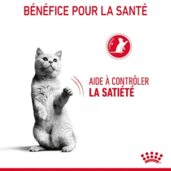 Royal Canin Appetite Control Pour Chat 10kg -Éco Pattes Royal Canin Appetite Control Care Chat FR 07 1