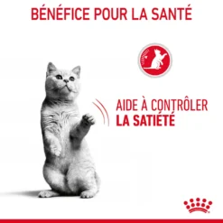Royal Canin Appetite Control En Sauce Pour Chat 12 Sachets De 85g -Éco Pattes Royal Canin Appetite Control Care Gravy Chat FR 08