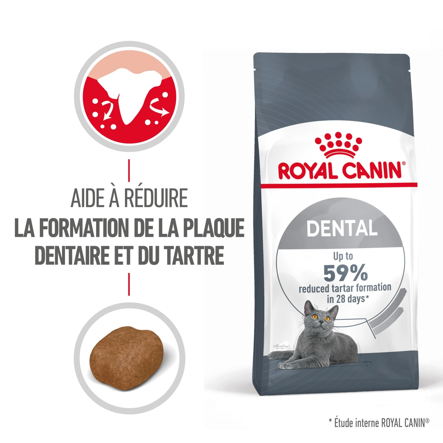 Royal Canin Dental Care Pour Chat 1,5kg 2 Royal Canin Dental Care Pour Chat 1,5kg – Image 2