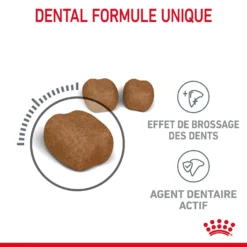 Royal Canin Dental Care Pour Chat 8kg 13 Royal Canin Dental Care Pour Chat 8kg -Éco Pattes Royal Canin Dental Care Chat FR 04 2