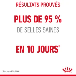 Royal Canin Digestive Care Pour Chat 4kg -Éco Pattes Royal Canin Digestive Care Chat FR 06 1