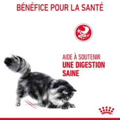 Royal Canin Digestive Care Pour Chat 2kg -Éco Pattes Royal Canin Digestive Care Chat FR 07