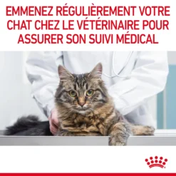 Royal Canin Digestive Care Pour Chat 2kg -Éco Pattes Royal Canin Digestive Care Chat FR 11