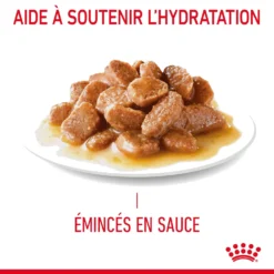 Royal Canin Digestive Care En Sauce Pour Chat 12 Sachets De 85g -Éco Pattes Royal Canin Digestive Care Gravy Chat FR 08