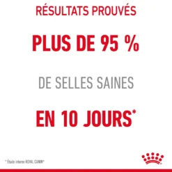 Royal Canin Digestive Care En Sauce Pour Chat 12 Sachets De 85g -Éco Pattes Royal Canin Digestive Care Gravy Chat FR 14