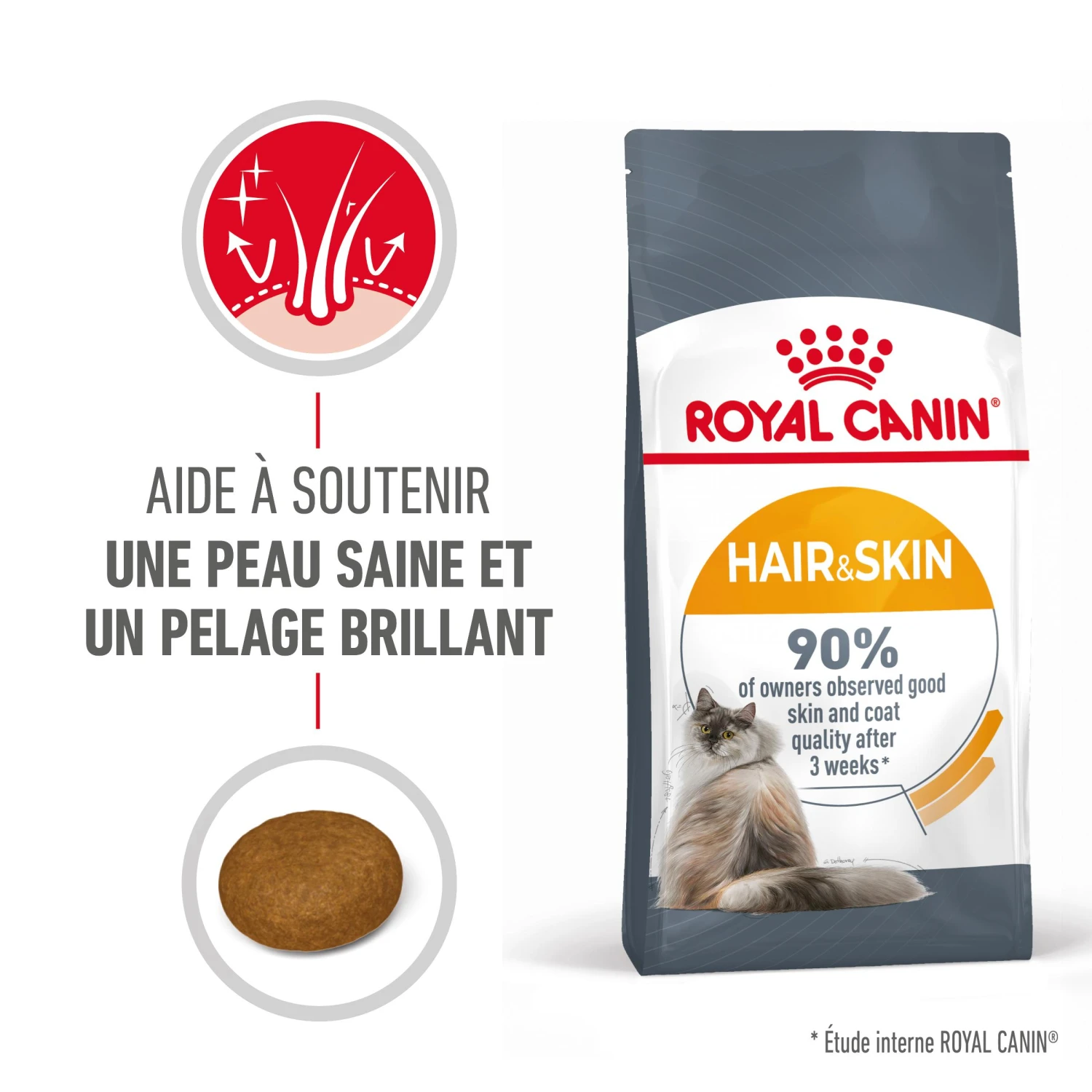 Royal Canin Hair & Skin Care Pour Chat 4kg 2 Royal Canin Hair & Skin Care Pour Chat 4kg – Image 2