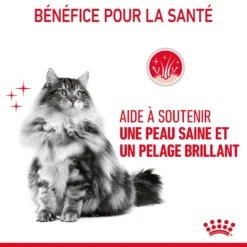 Royal Canin Hair & Skin Care Pour Chat 10kg 17 Royal Canin Hair & Skin Care Pour Chat 10kg -Éco Pattes Royal Canin Hair skin Care Chat FR 07