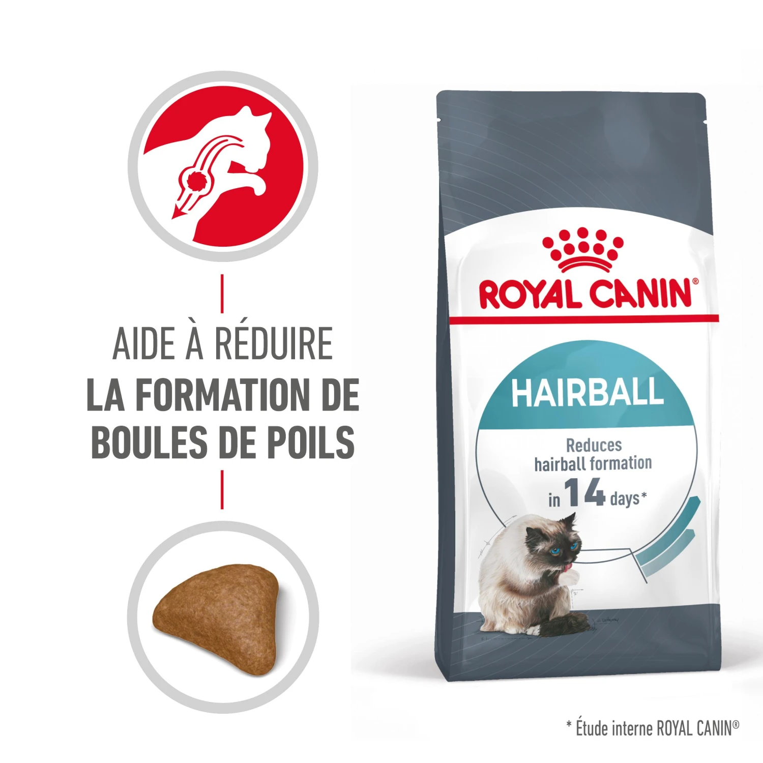 Royal Canin Hairball Care Pour Chat 10kg 2 Royal Canin Hairball Care Pour Chat 10kg – Image 2