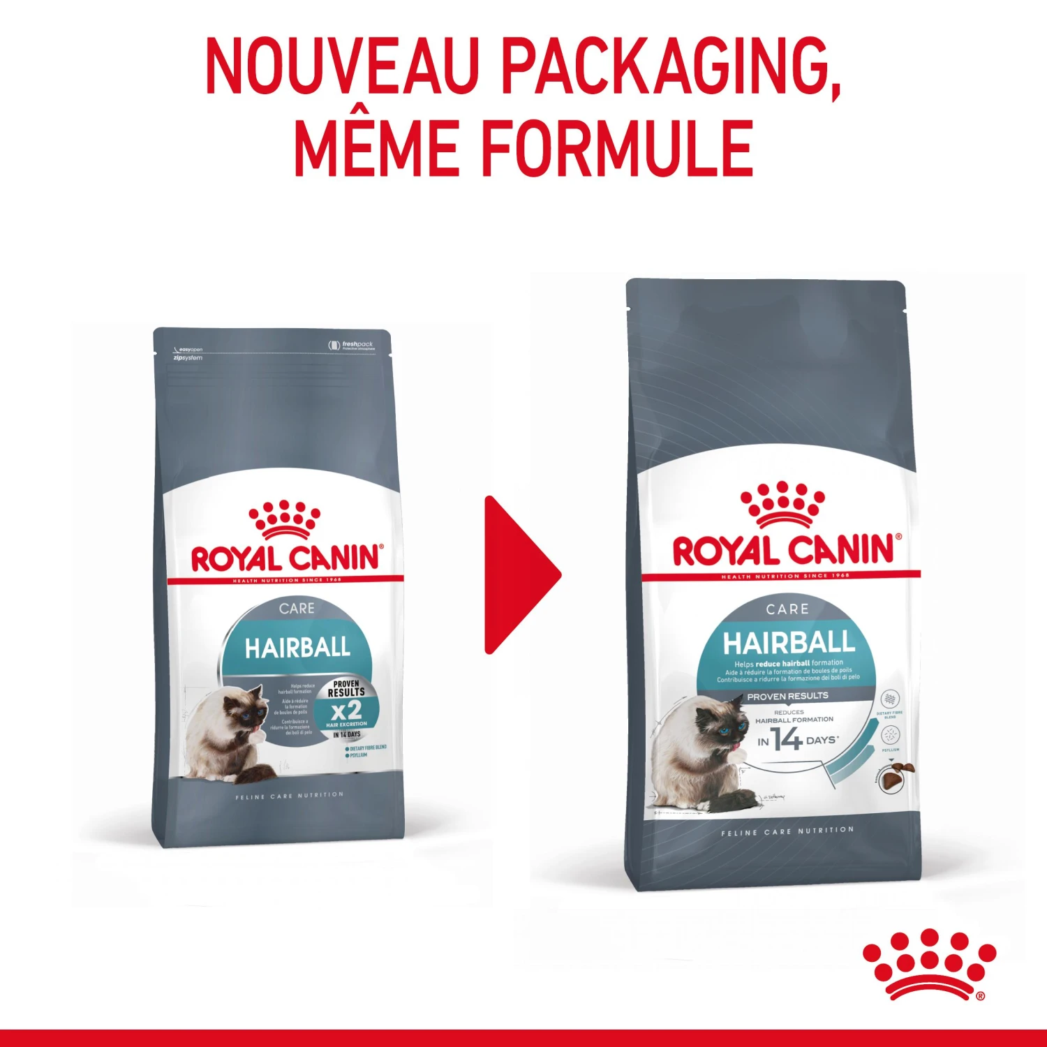 Royal Canin Hairball Care Pour Chat 2kg 3 Royal Canin Hairball Care Pour Chat 2kg – Image 3