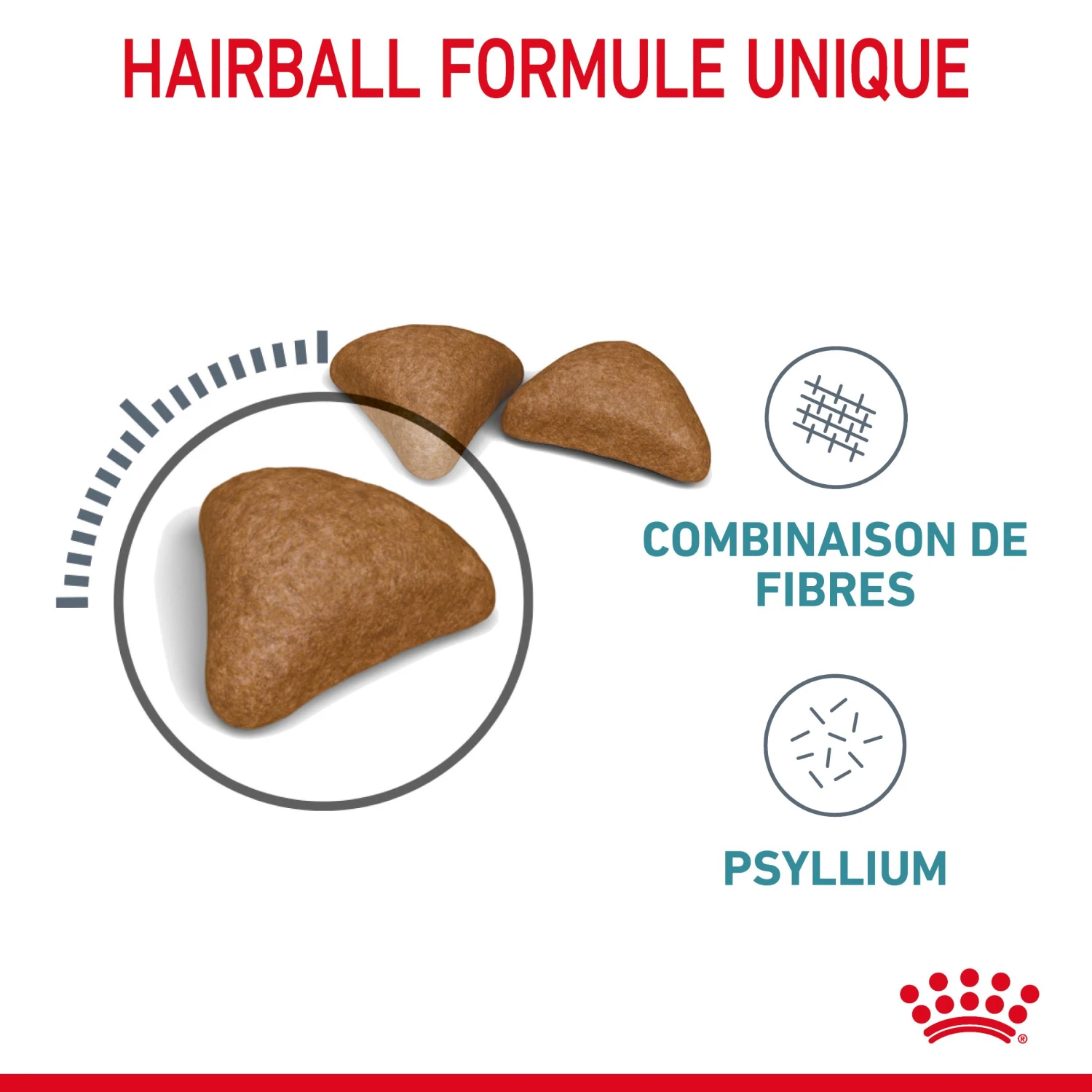 Royal Canin Hairball Care Pour Chat 10kg 5 Royal Canin Hairball Care Pour Chat 10kg – Image 5