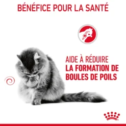 Royal Canin Hairball Care Pour Chat 2kg 17 Royal Canin Hairball Care Pour Chat 2kg -Éco Pattes Royal Canin Hairball Care Chat FR 07 1