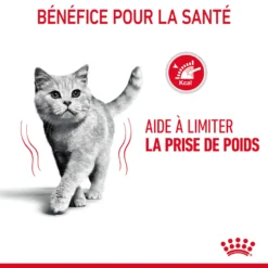 Royal Canin Light Weight Care En Sauce Pour Chat 12 Sachets De 85g 20 Royal Canin Light Weight Care En Sauce Pour Chat 12 Sachets De 85g -Éco Pattes Royal Canin Light Weight Care Gravy Chat FR 08