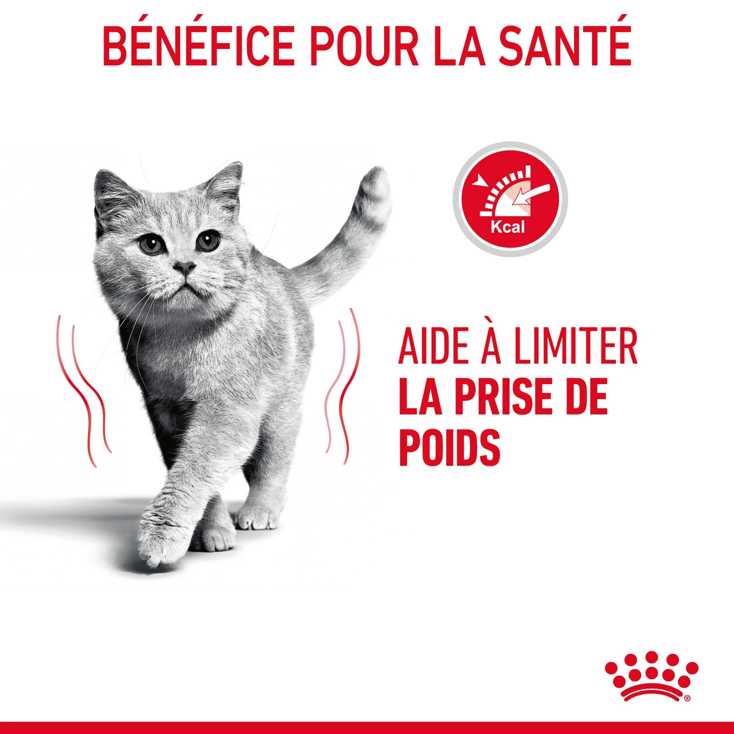 Royal Canin Light Weight Care Pour Chat 8kg 7 Royal Canin Light Weight Care Pour Chat 8kg – Image 7