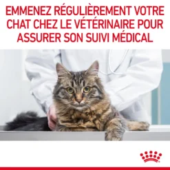 Royal Canin Light Weight Care Pour Chat 8kg 21 Royal Canin Light Weight Care Pour Chat 8kg -Éco Pattes Royal Canin Light Weight Chat FR 11