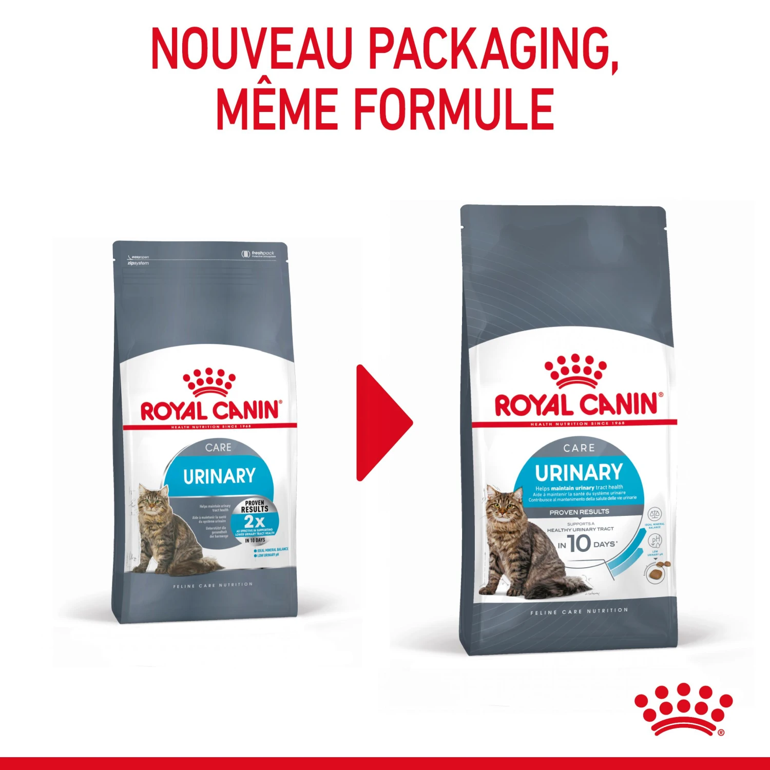 Royal Canin Urinary Care Pour Chat 2kg 3 Royal Canin Urinary Care Pour Chat 2kg – Image 3