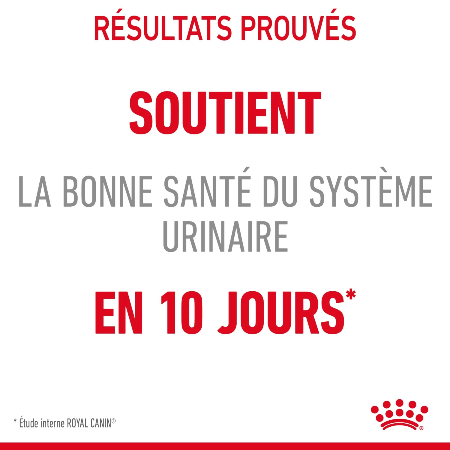 Royal Canin Urinary Care Pour Chat 2kg 6 Royal Canin Urinary Care Pour Chat 2kg – Image 6