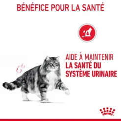 Royal Canin Urinary Care Pour Chat 2kg 17 Royal Canin Urinary Care Pour Chat 2kg -Éco Pattes Royal Canin Urinary Care Chat FR 07