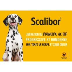 Scalibor Collier Anti-tiques, Anti-phlébotomes Et Anti-moustiques -Éco Pattes Scalibor phlebotomists collar dog tics antiparasitic 3.jpg 1