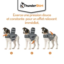 Body Anti Stress Thundershirt -Éco Pattes Thundershirt 7 FR